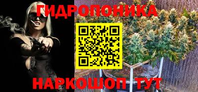 ешки Кимры