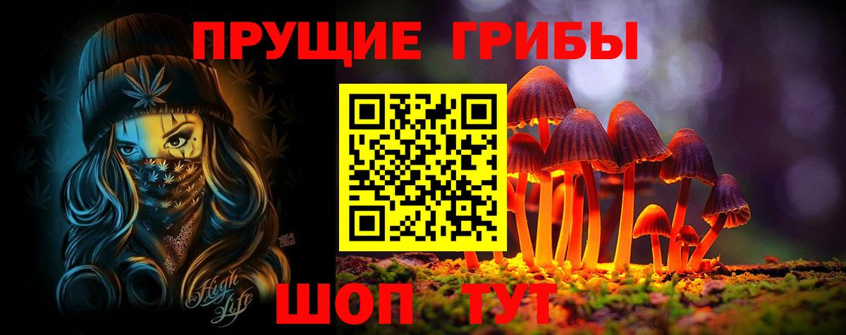 Лабытнанги  Псилоцибиновые грибы Psilocybe  Вход с VPN 